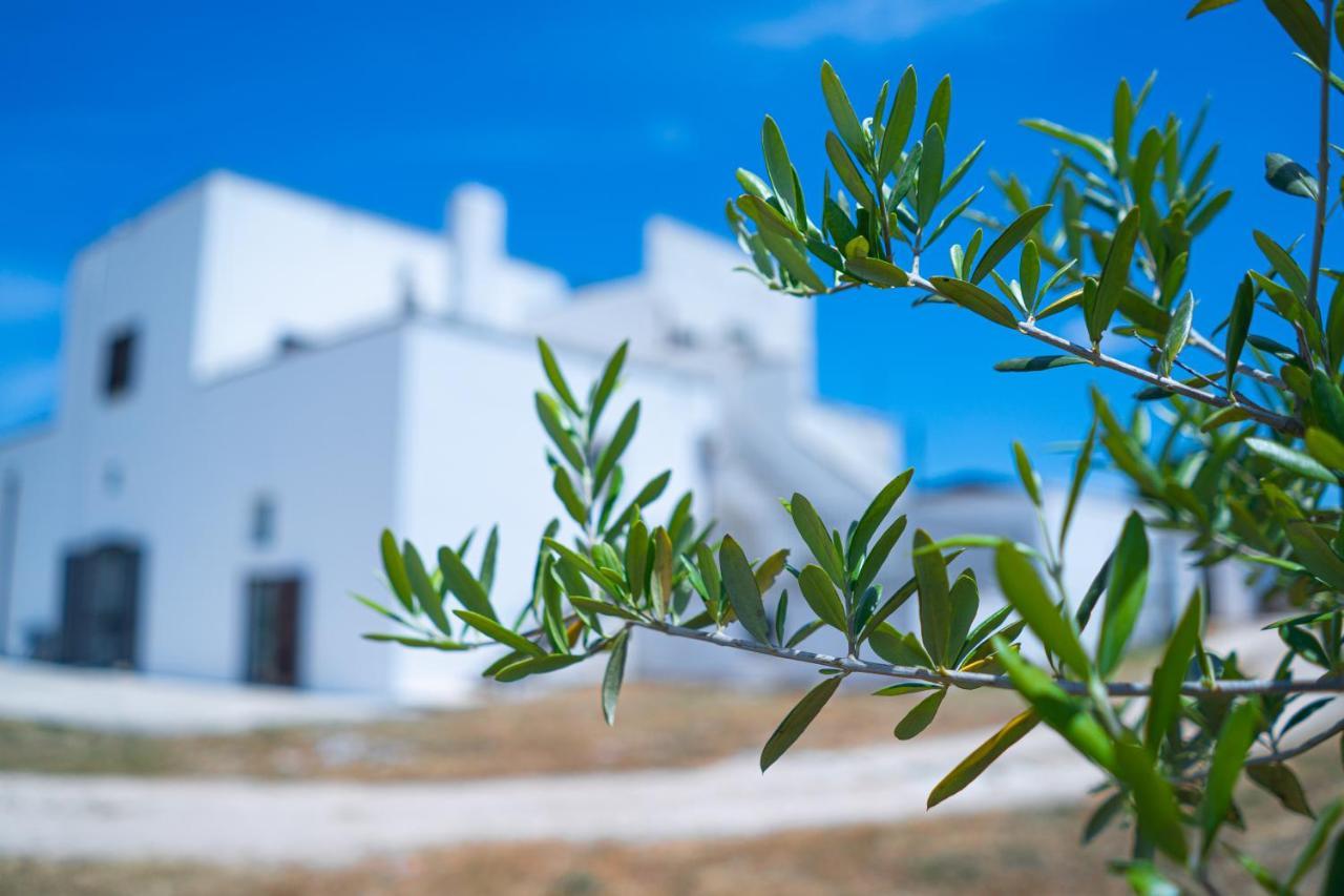 נוצ'י Masseria Donna Coletta מראה חיצוני תמונה