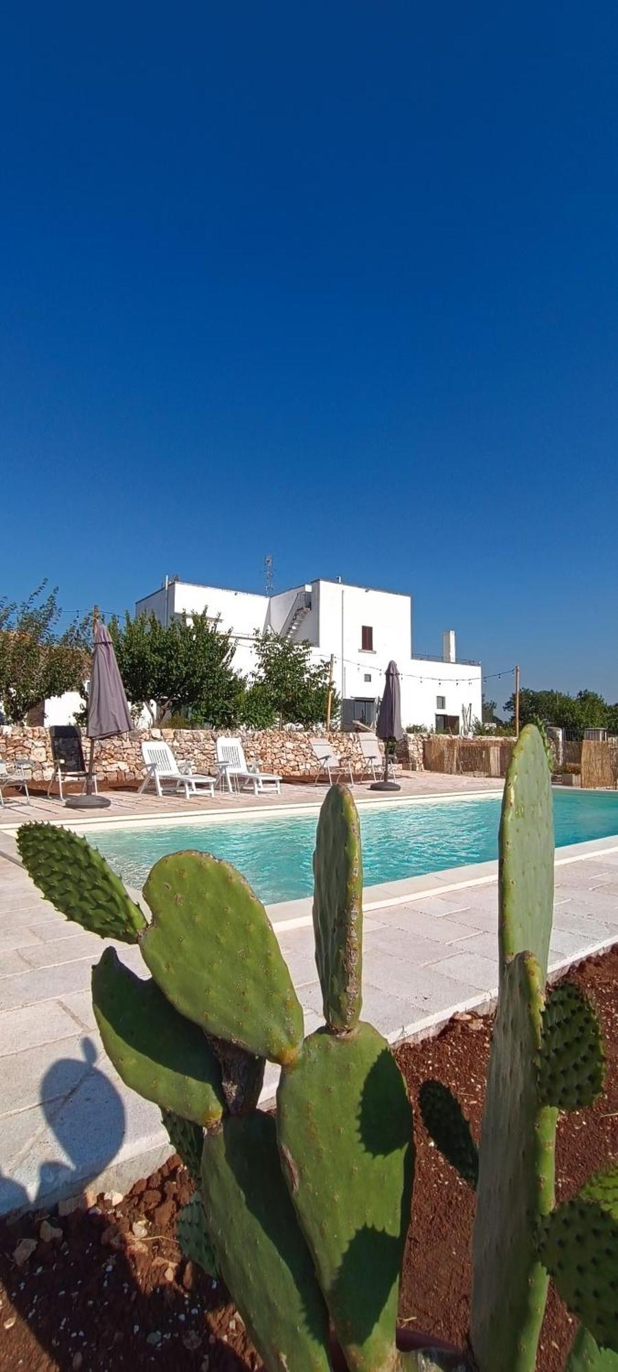 נוצ'י Masseria Donna Coletta מראה חיצוני תמונה